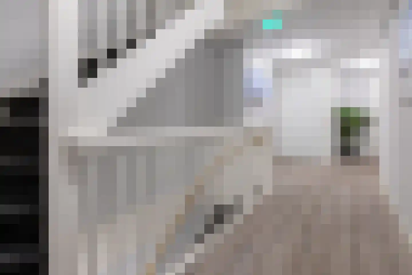 Dam 1 B 10 Goes thumbnail 24