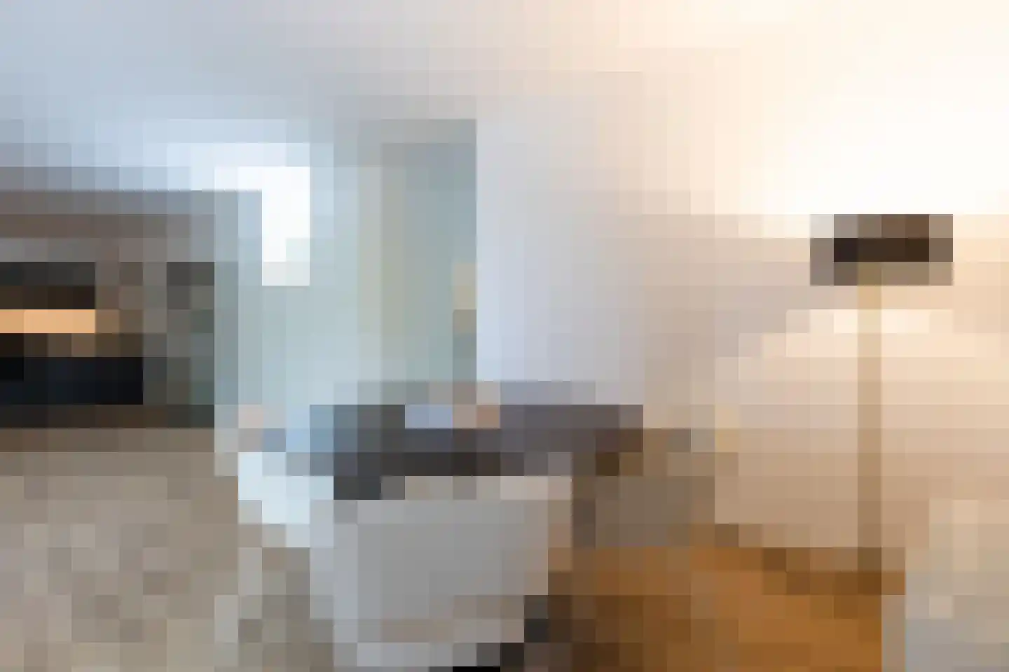 Dam 1 B 10 Goes thumbnail 43