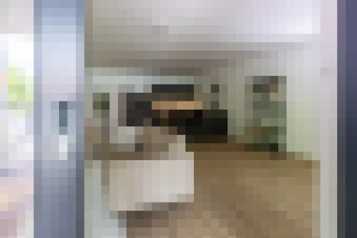 Dam 1 B 10 Goes thumbnail 54