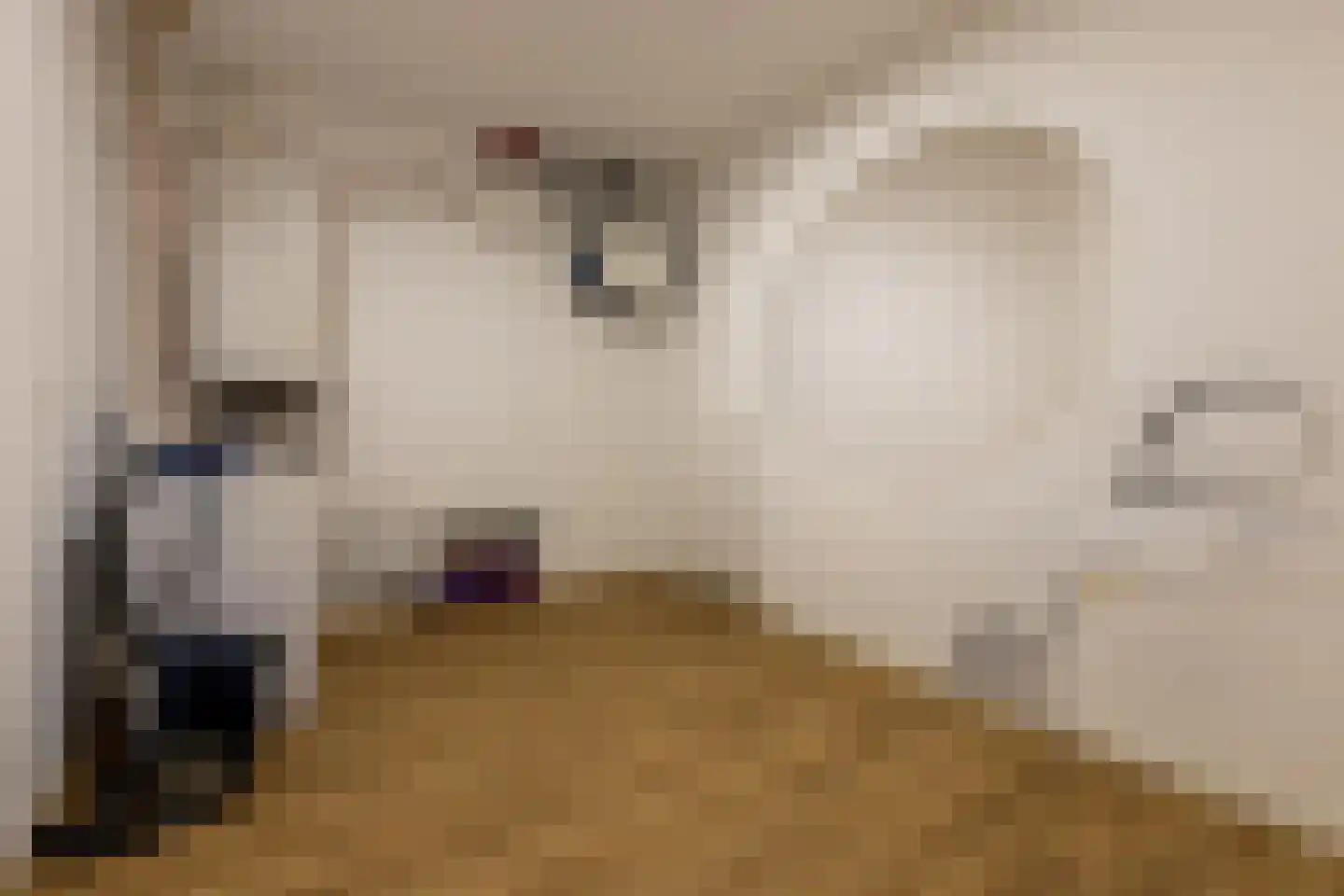 Dam 1 B 10 Goes thumbnail 96