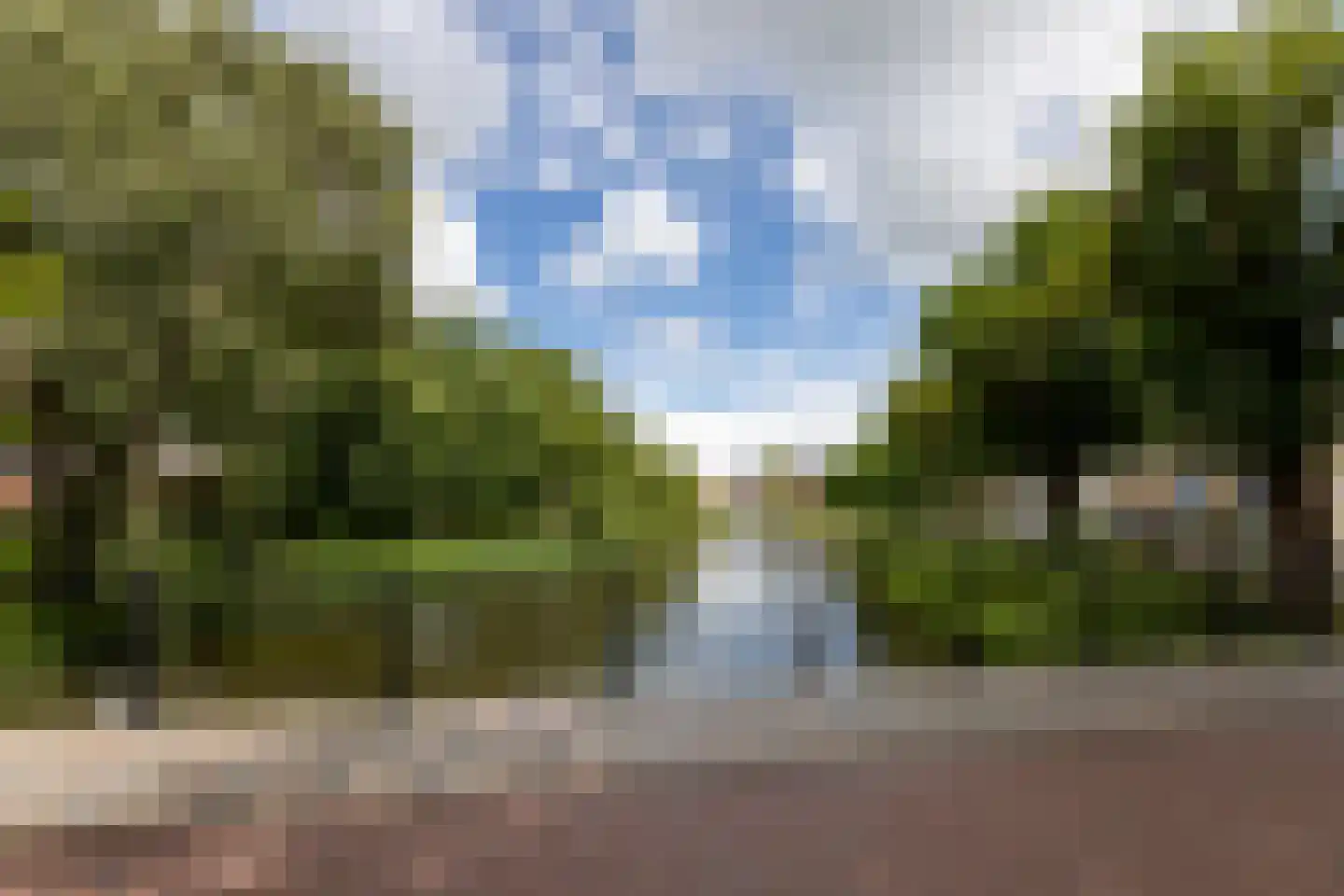 Dam 1 B 10 Goes thumbnail 97
