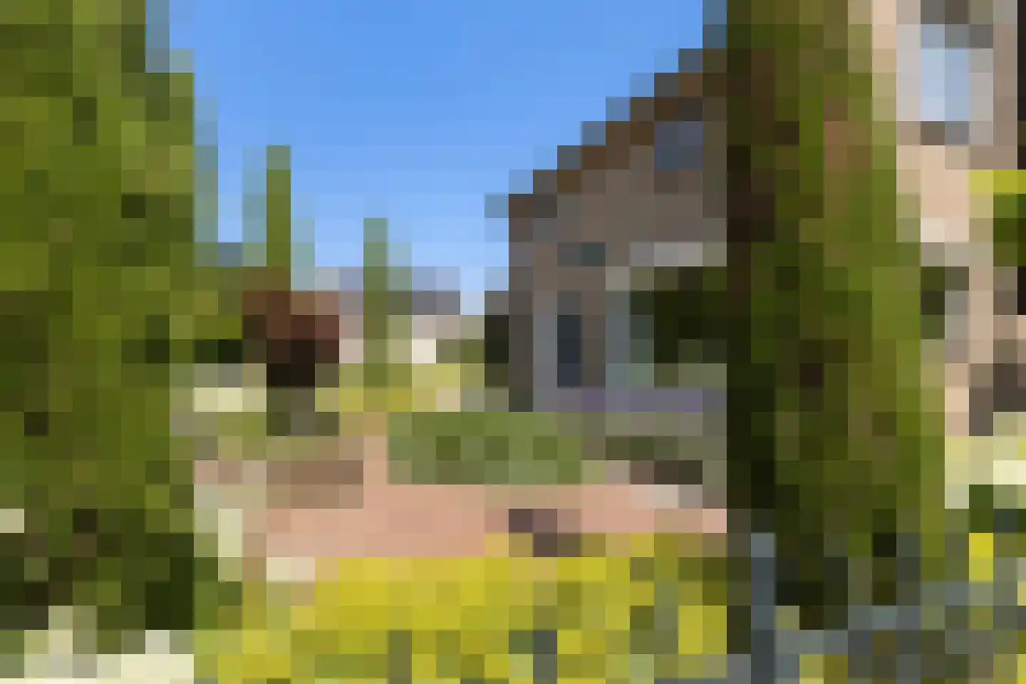 Dam 1 b Strijen thumbnail 10