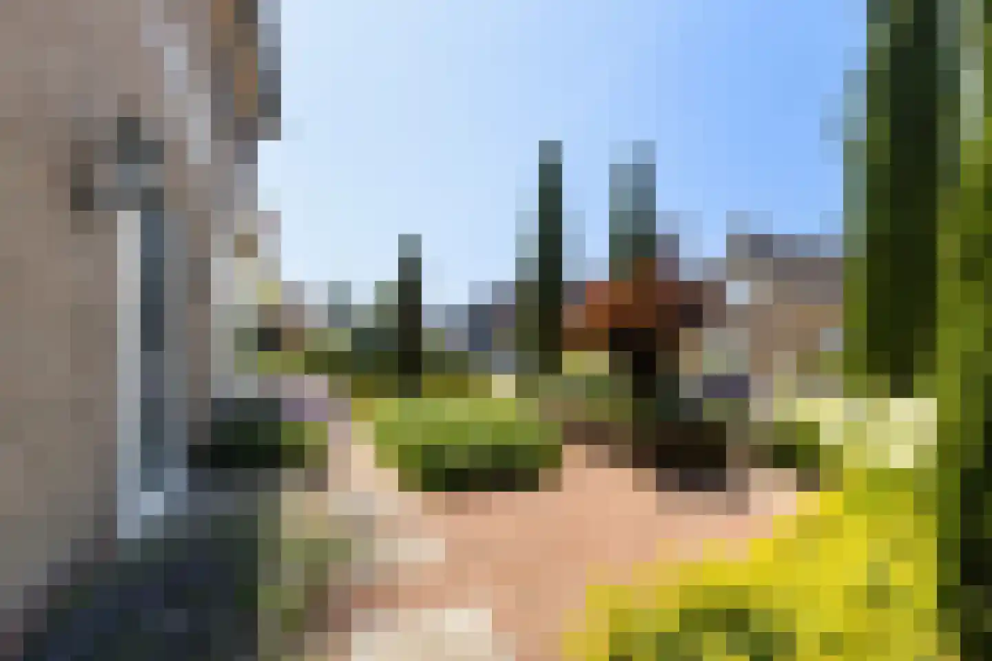 Dam 1 b Strijen thumbnail 12
