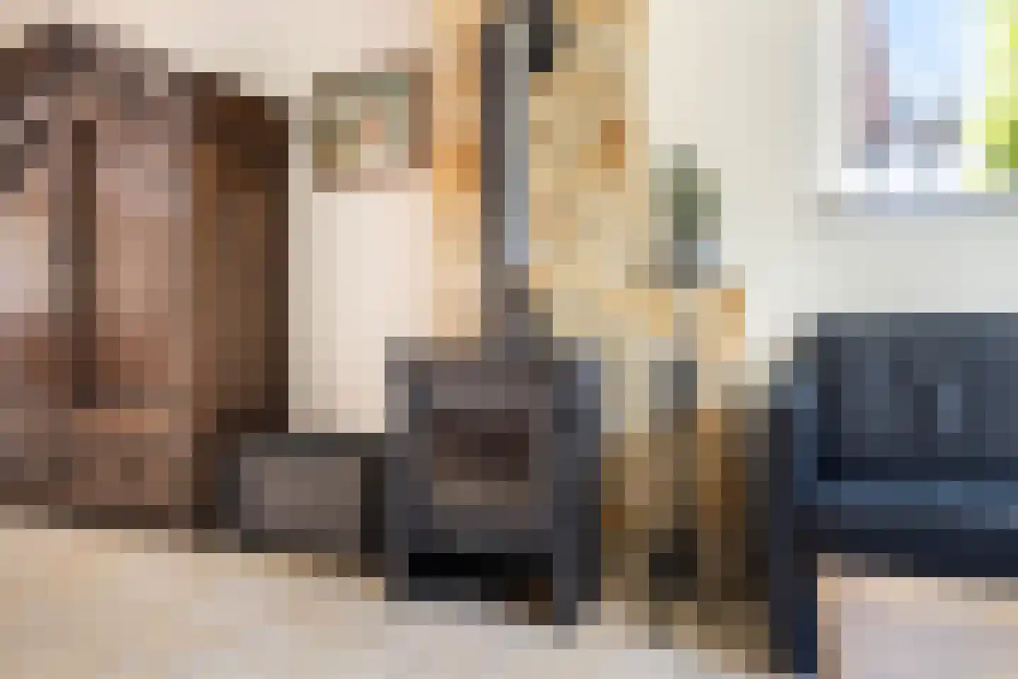 Dam 1 b Strijen thumbnail 21