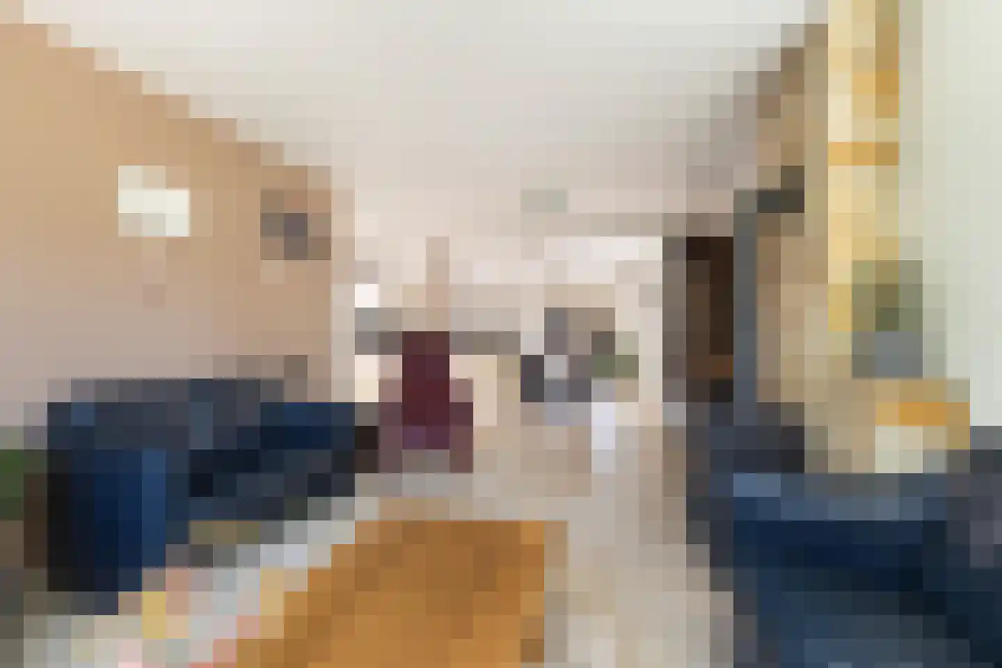 Dam 1 b Strijen thumbnail 22