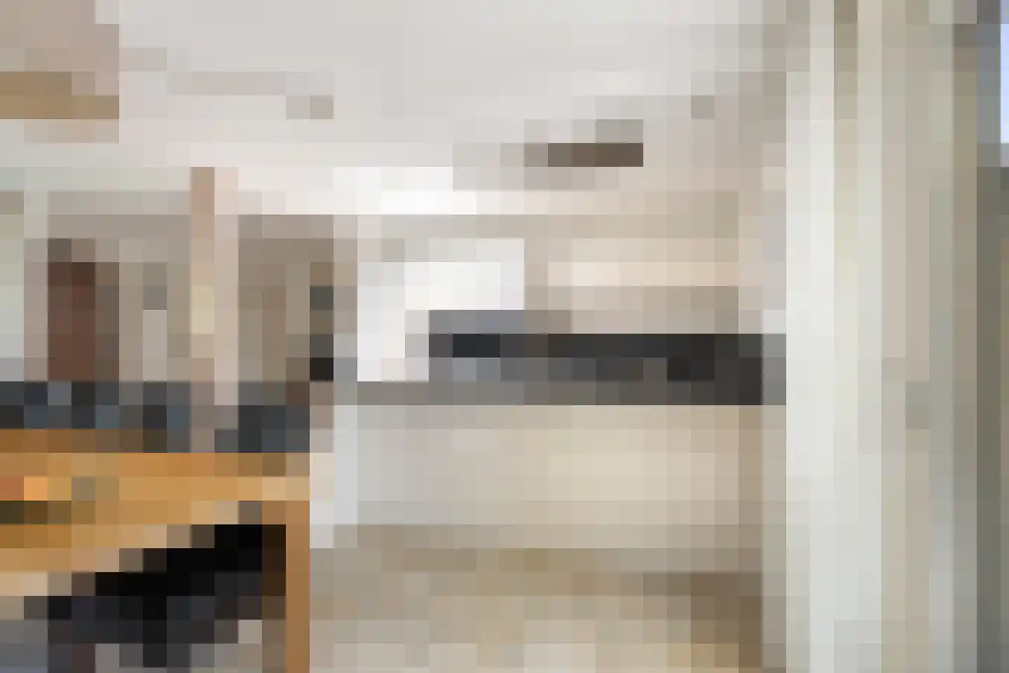 Dam 1 b Strijen thumbnail 24