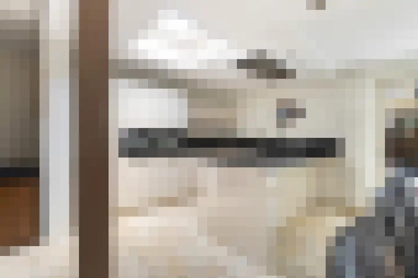 Dam 1 b Strijen thumbnail 25