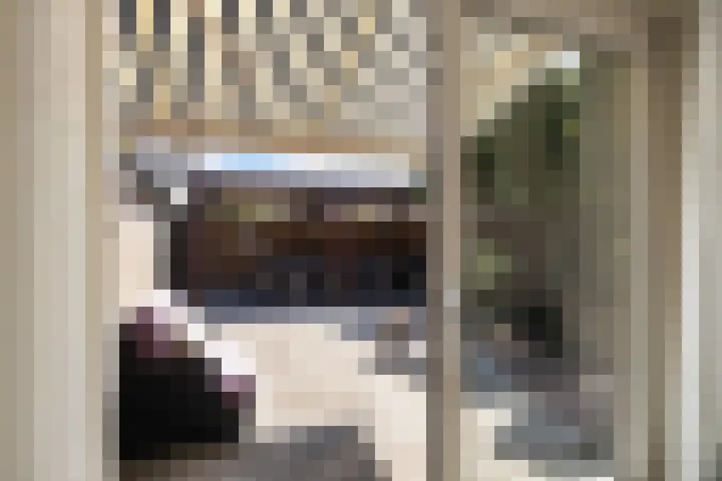 Dam 1 b Strijen thumbnail 29