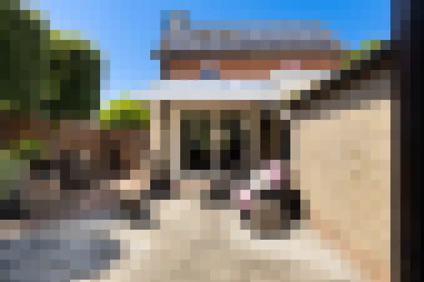 Dam 1 b Strijen thumbnail 30