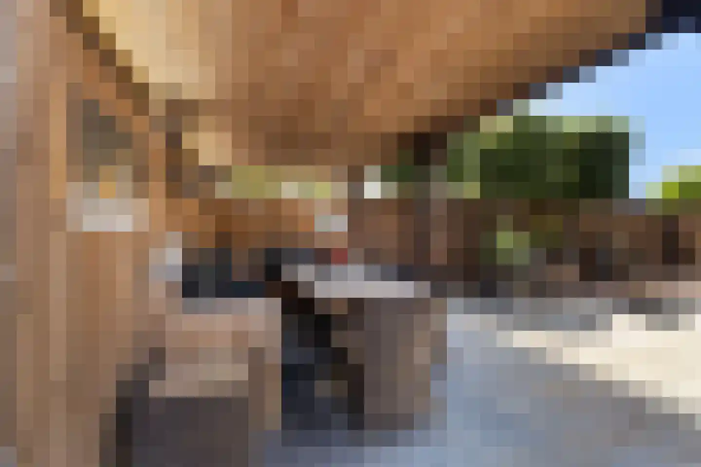 Dam 1 b Strijen thumbnail 32