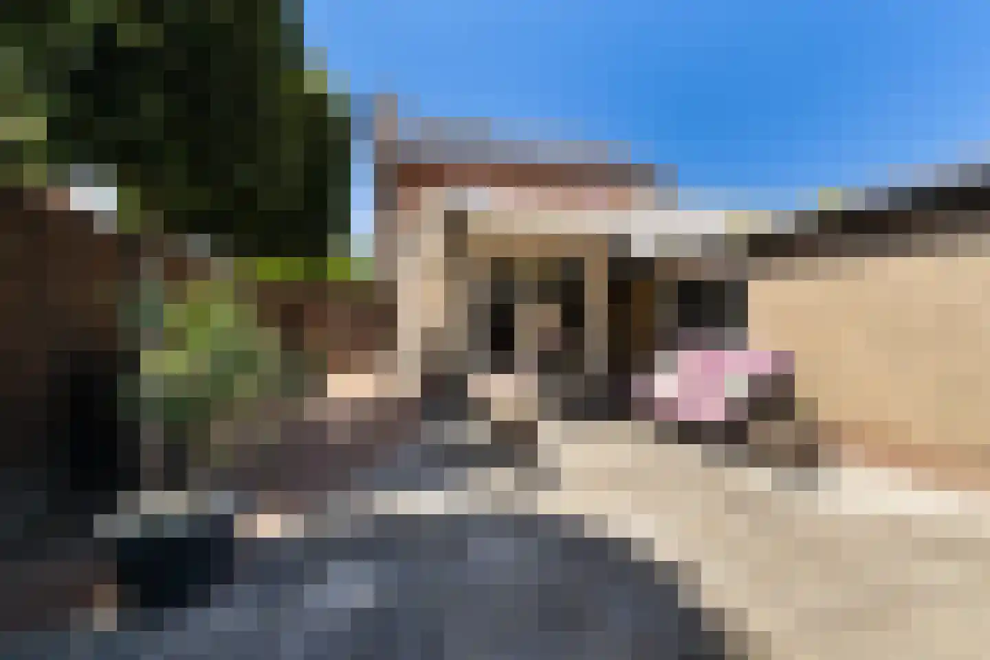 Dam 1 b Strijen thumbnail 34