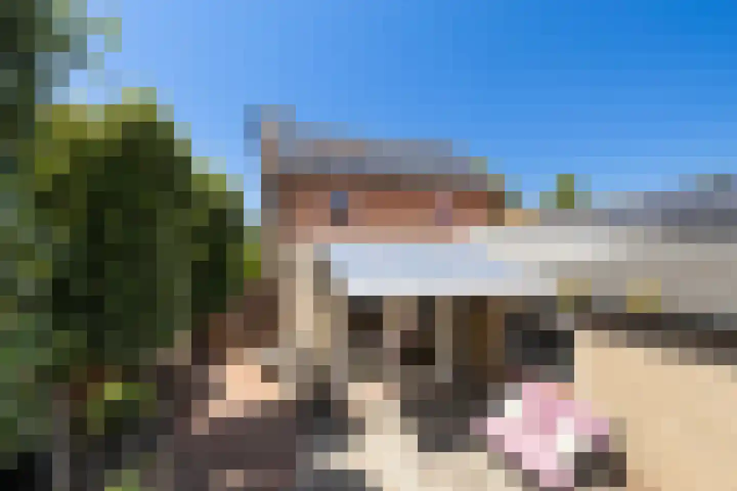 Dam 1 b Strijen thumbnail 35