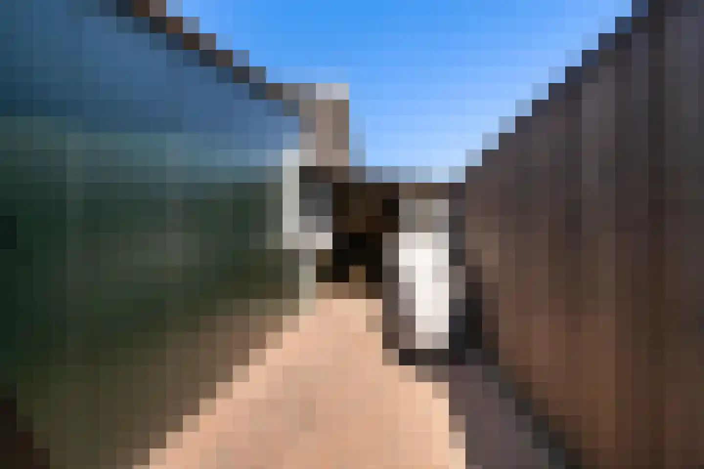Dam 1 b Strijen thumbnail 36