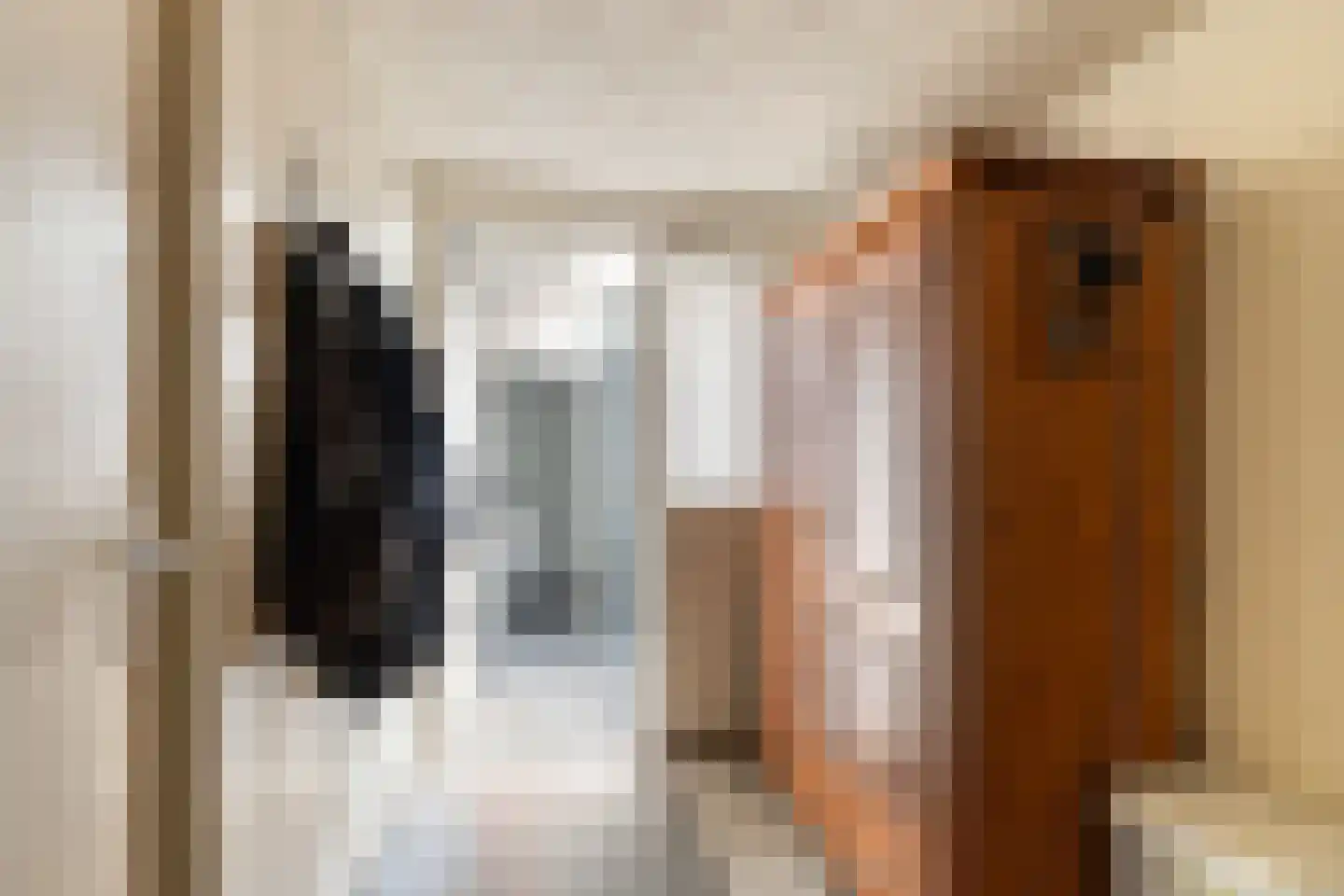 Dam 1 b Strijen thumbnail 37