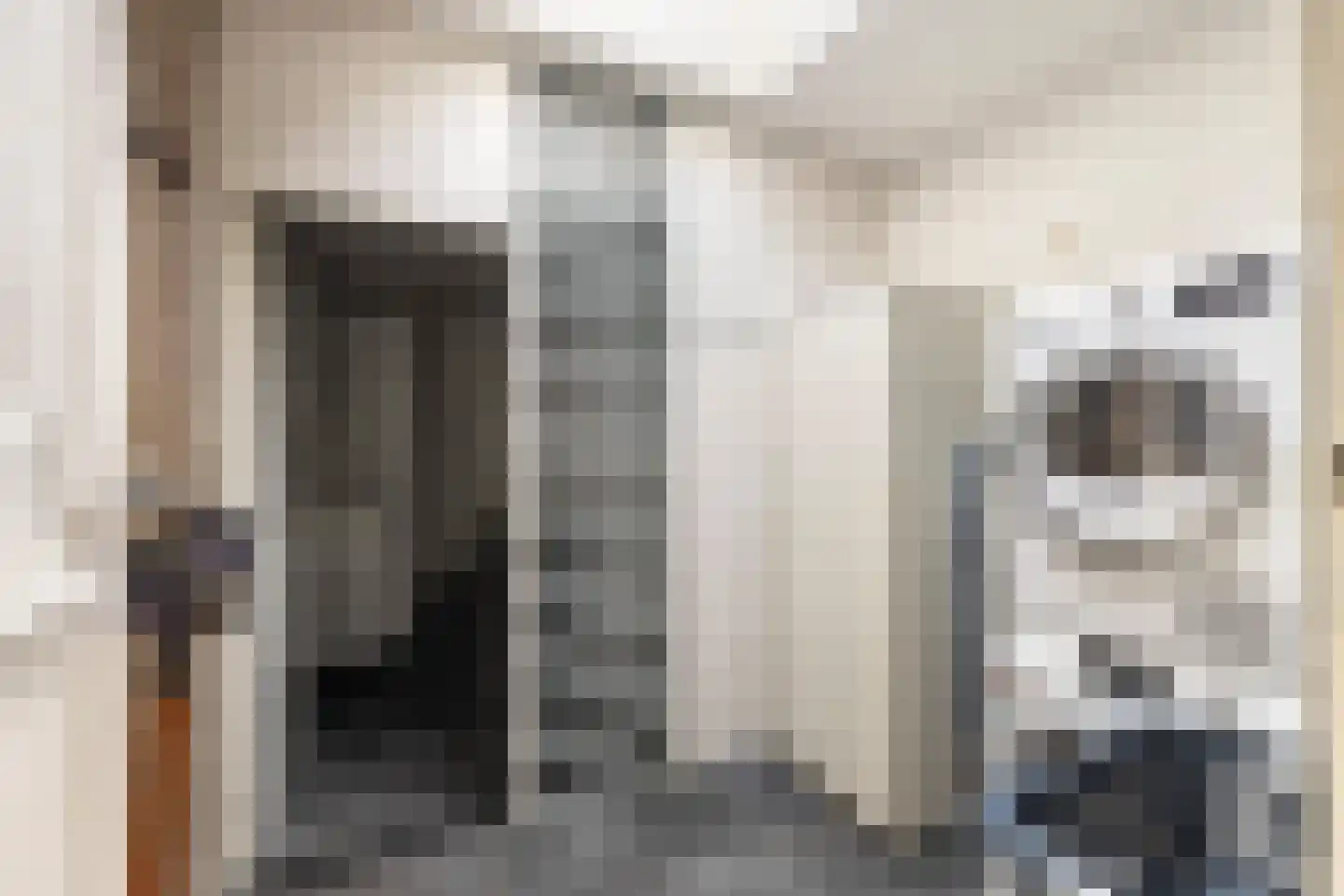 Dam 1 b Strijen thumbnail 39