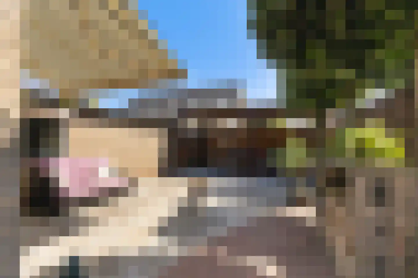 Dam 1 b Strijen thumbnail 4