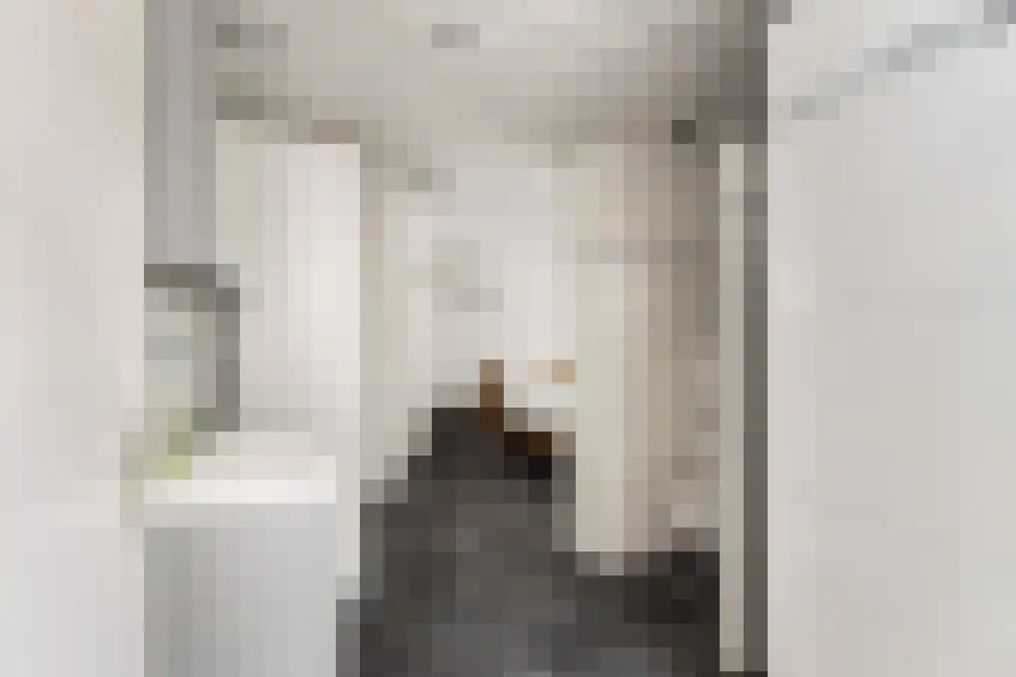 Dam 1 b Strijen thumbnail 40