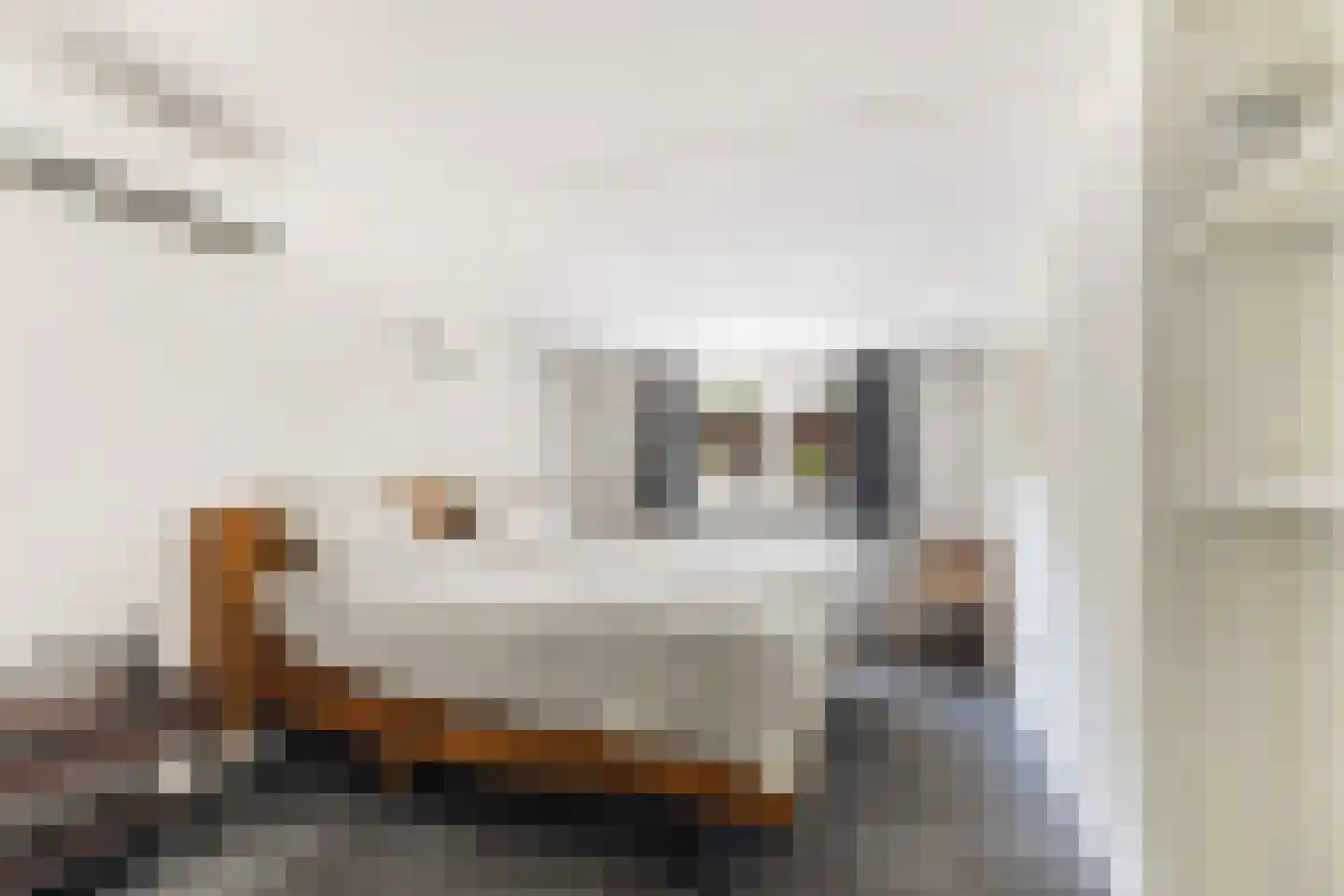 Dam 1 b Strijen thumbnail 41