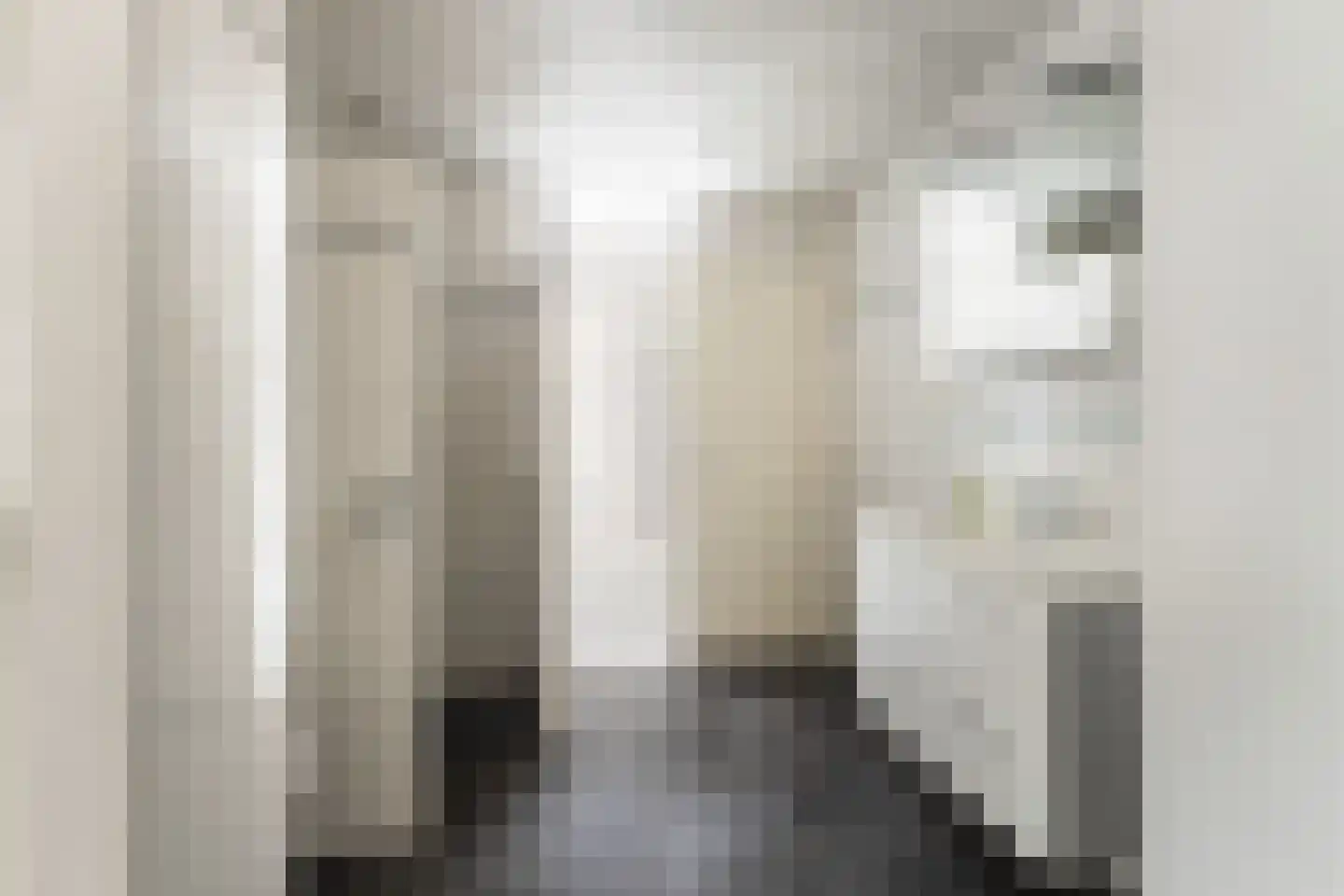 Dam 1 b Strijen thumbnail 43