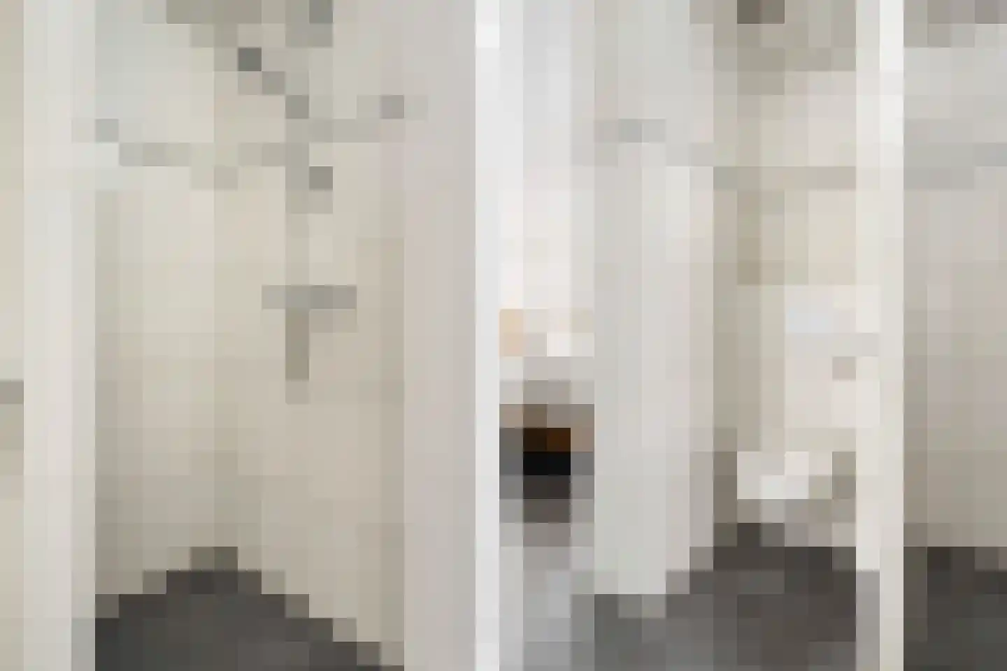 Dam 1 b Strijen thumbnail 44