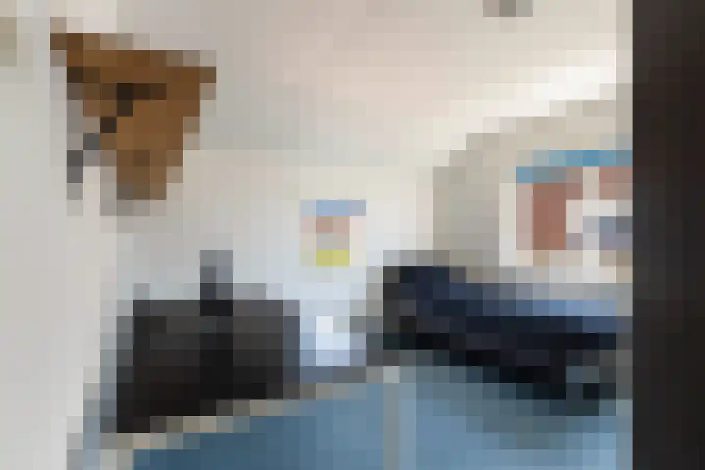 Dam 1 b Strijen thumbnail 49