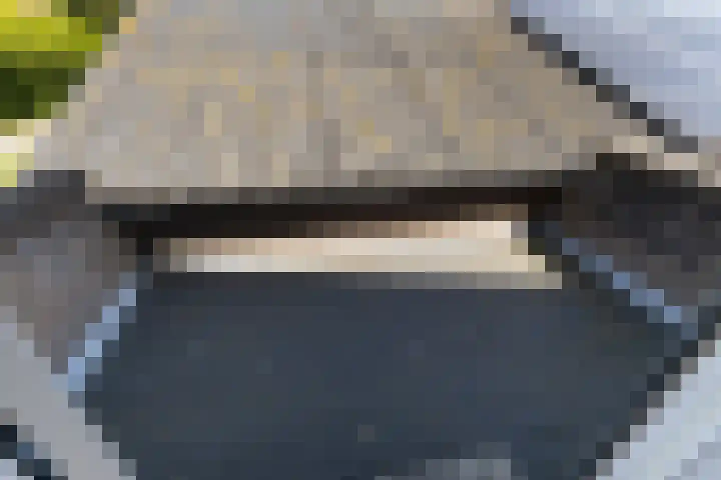 Dam 1 b Strijen thumbnail 54