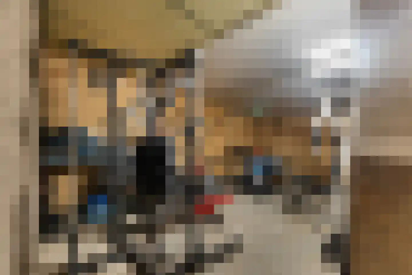 Dam 1 b Strijen thumbnail 58