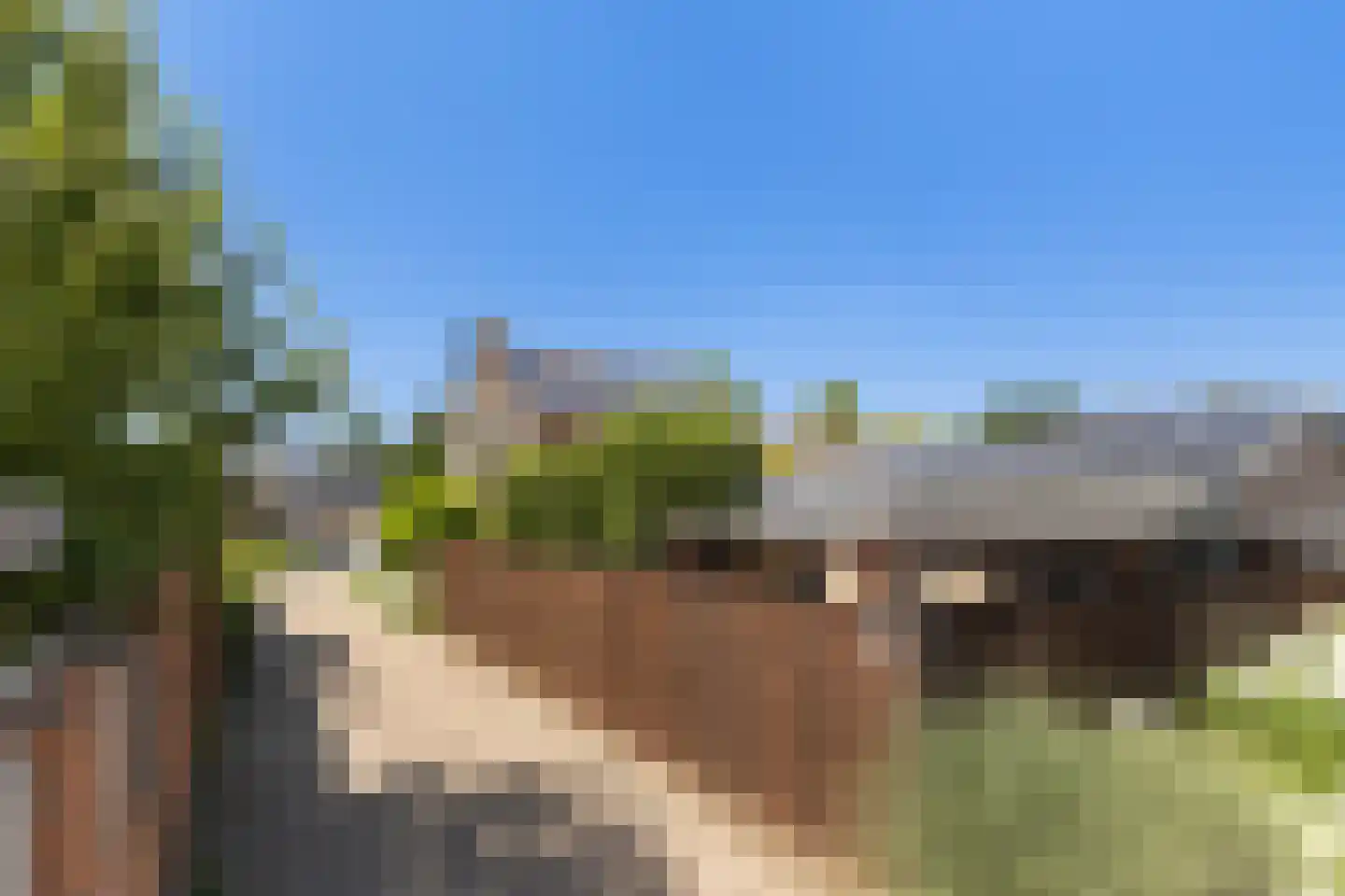 Dam 1 b Strijen thumbnail 8