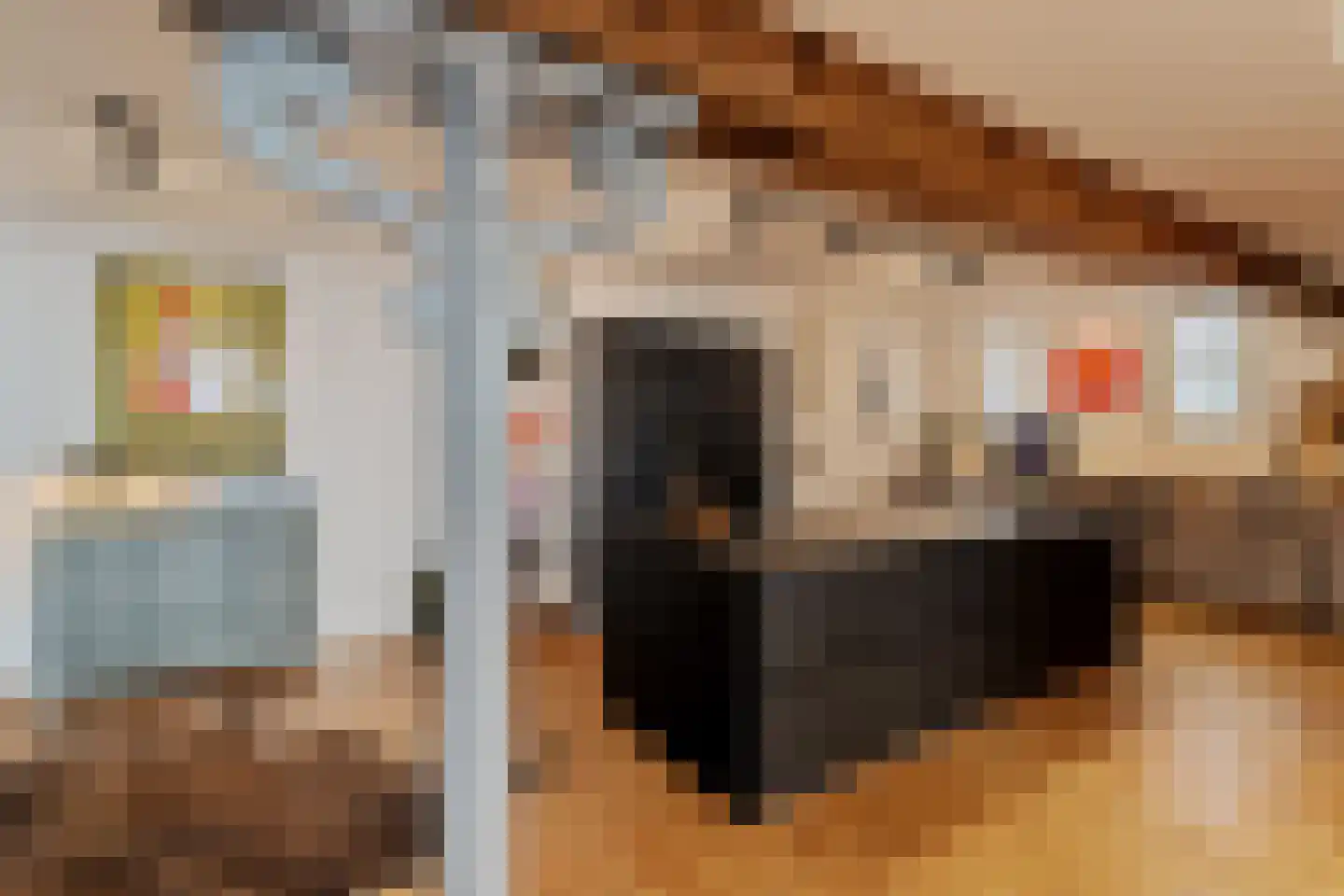 Dam 10 B Schiedam thumbnail 11