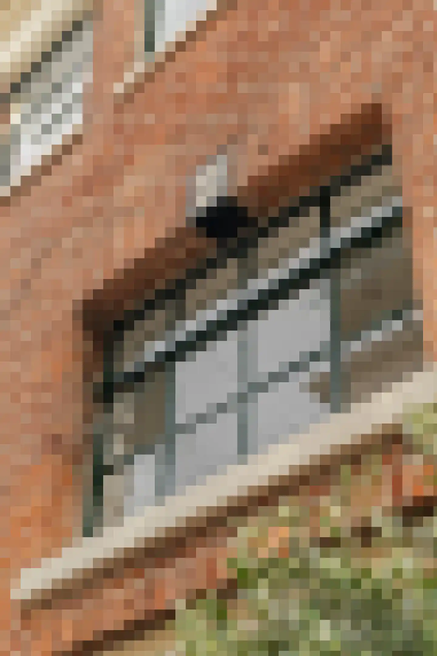 Dam 10 B Schiedam thumbnail 32