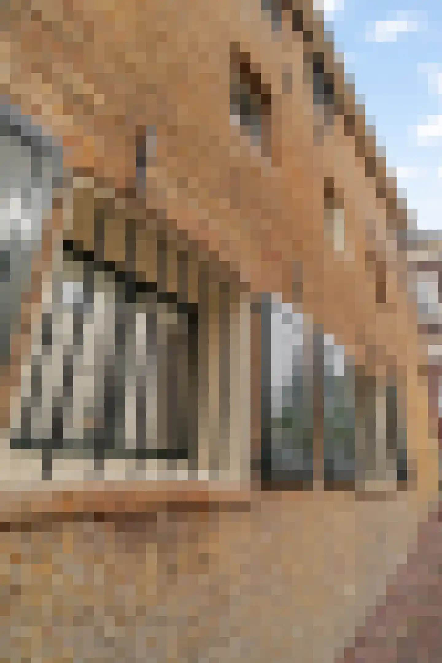 Dam 10 B Schiedam thumbnail 33