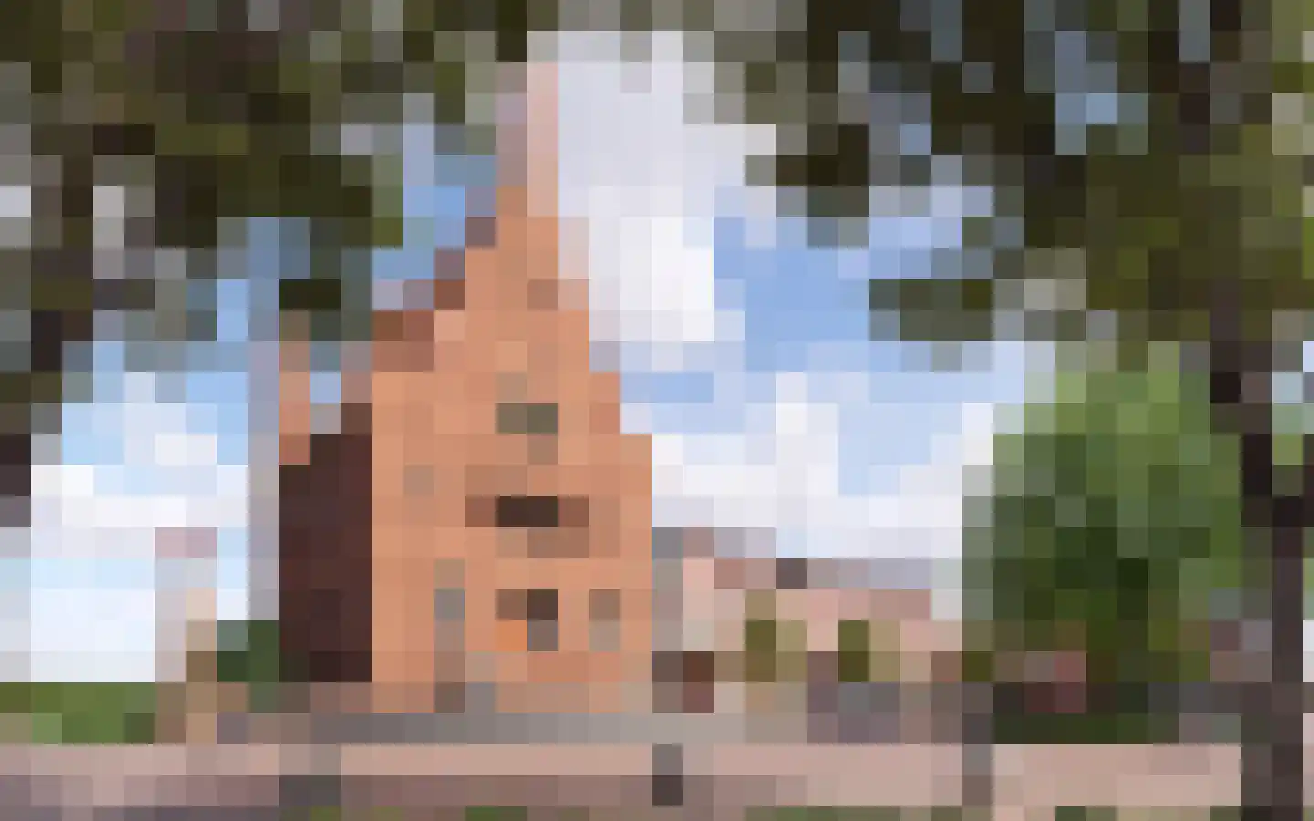 Dam 11 Medemblik thumbnail 7