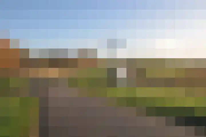 Dam 12 Wervershoof thumbnail 24