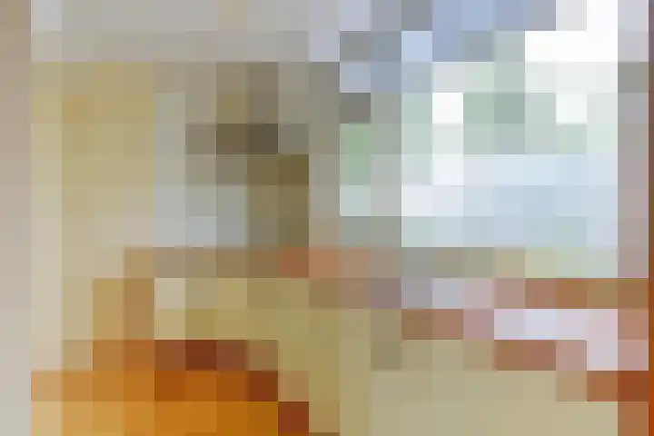 Dam 12 Wervershoof thumbnail 6