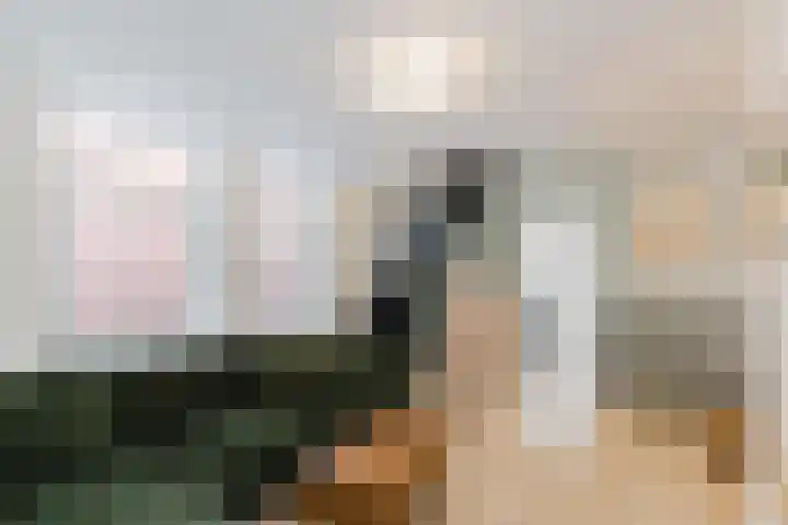 Dam 13 A Schiedam thumbnail 10
