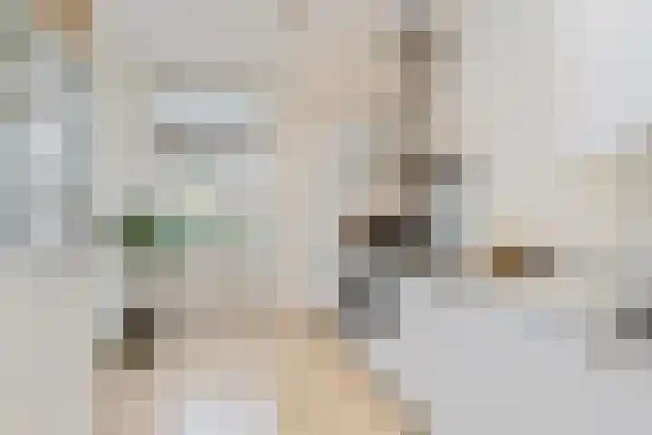 Dam 13 A Schiedam thumbnail 14