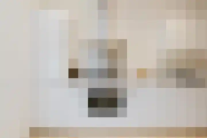 Dam 13 A Schiedam thumbnail 15