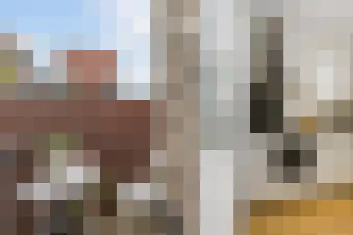 Dam 13 A Schiedam thumbnail 19