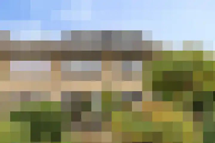 Dam 13 A Schiedam thumbnail 25