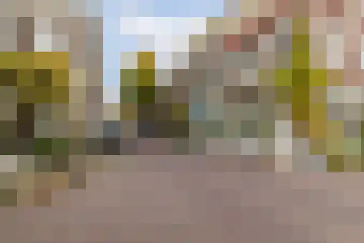 Dam 13 A Schiedam thumbnail 41