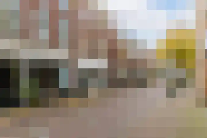 Dam 13 A Schiedam thumbnail 7