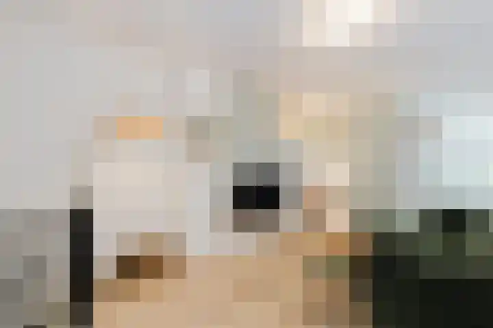 Dam 13 A Schiedam thumbnail 9