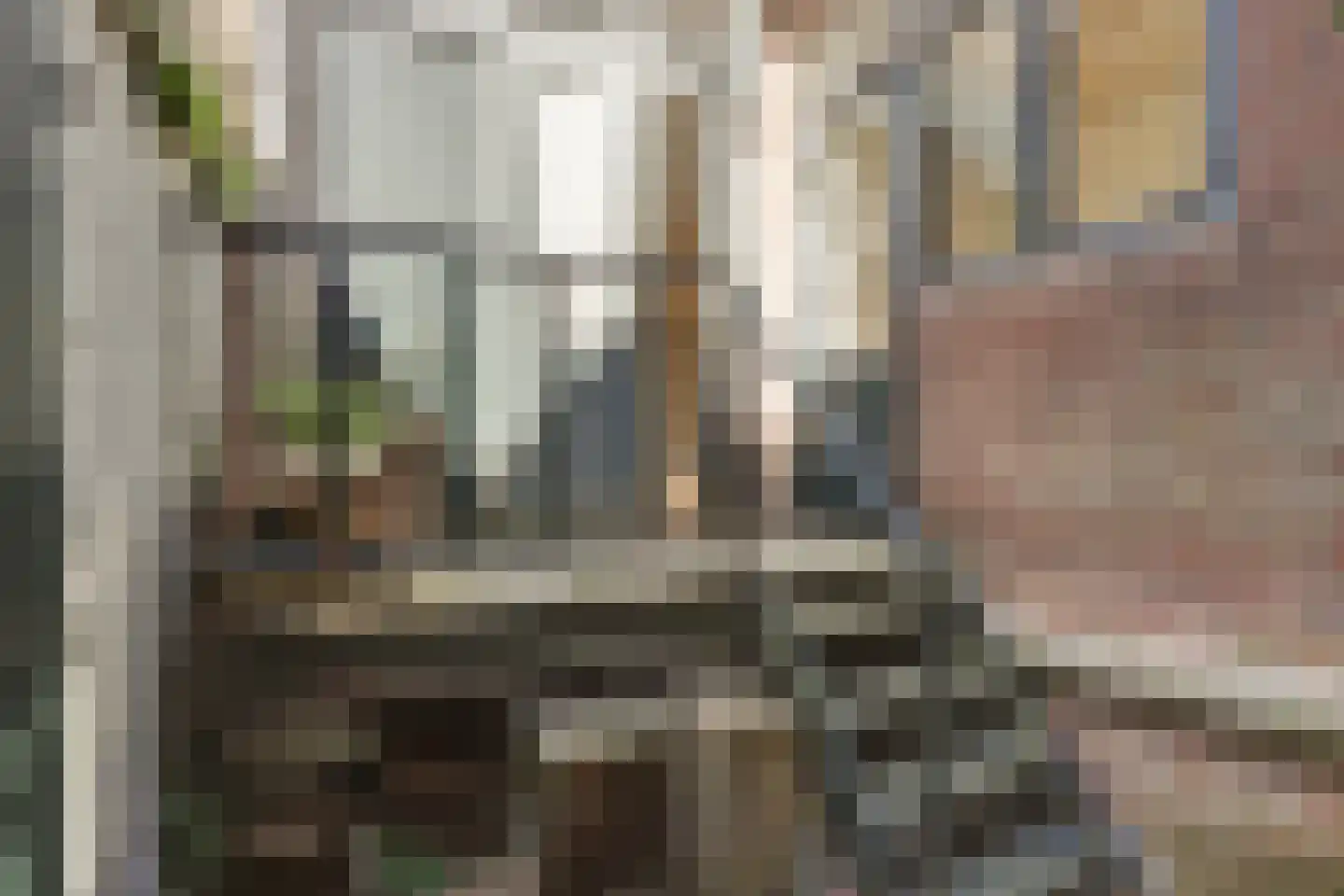Dam 13 B Schiedam thumbnail 13