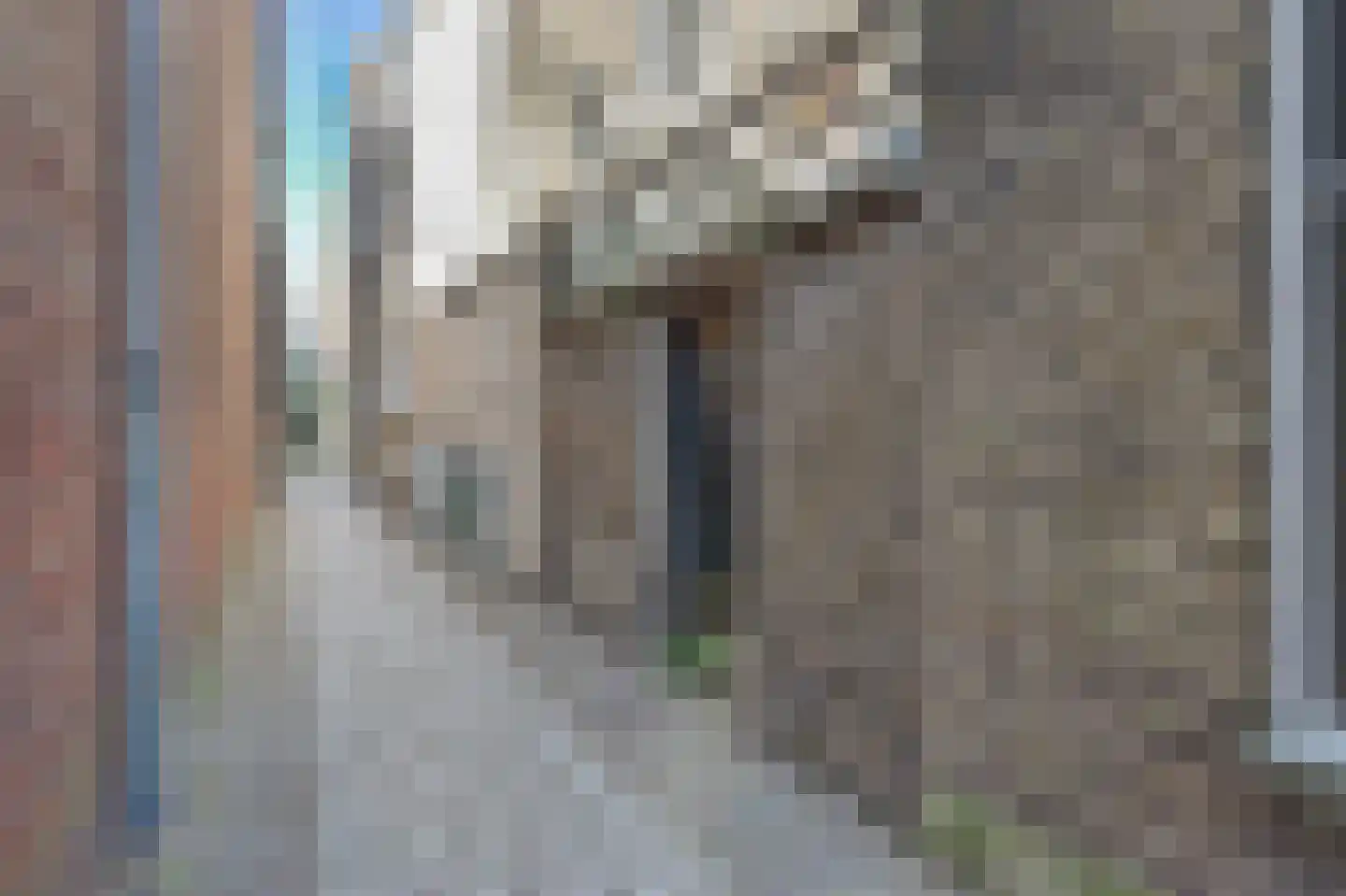 Dam 13 B Schiedam thumbnail 14