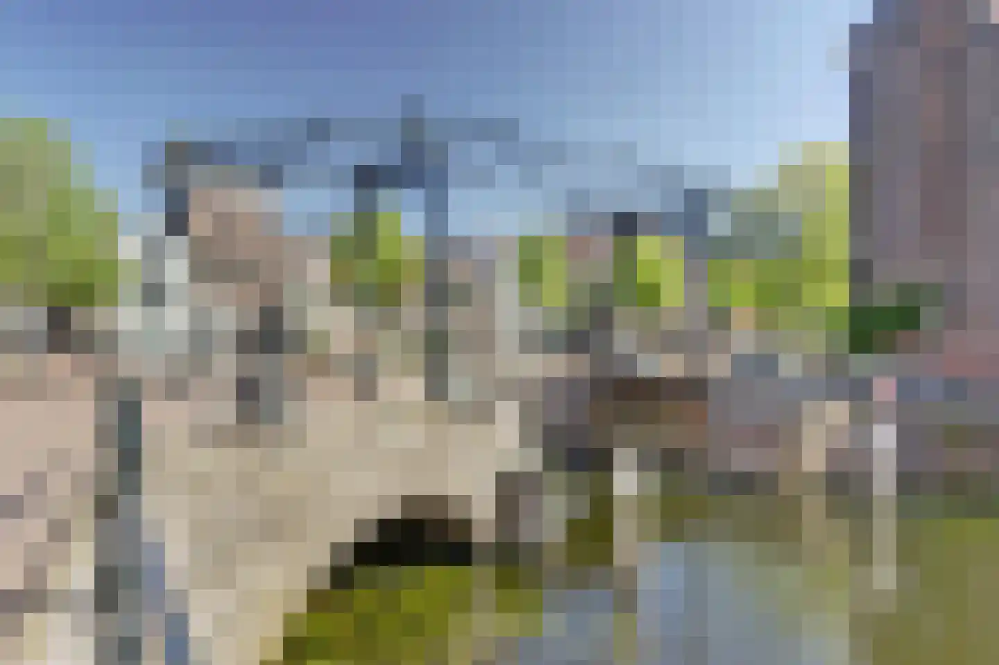 Dam 13 B Schiedam thumbnail 19