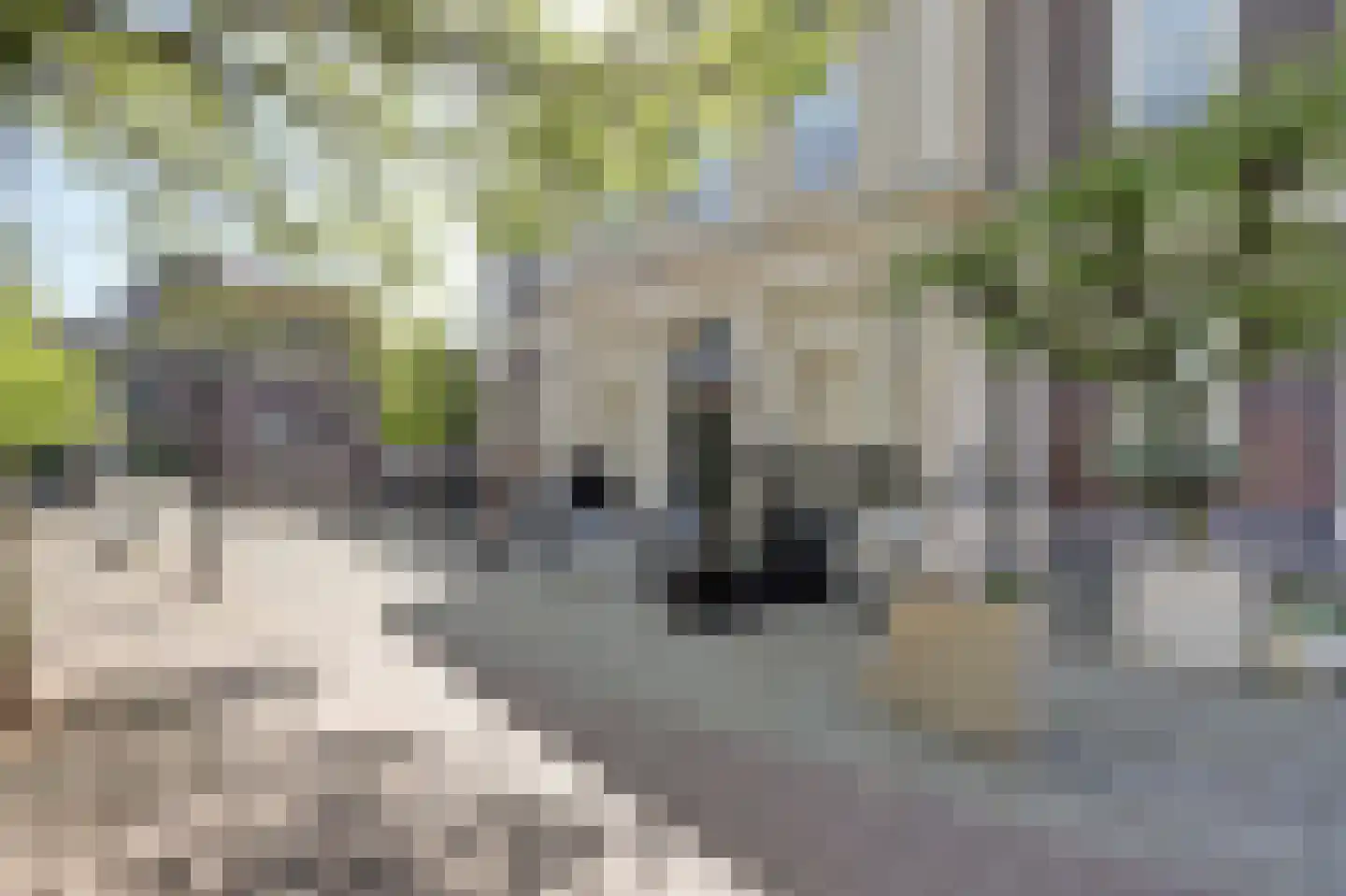 Dam 13 B Schiedam thumbnail 21