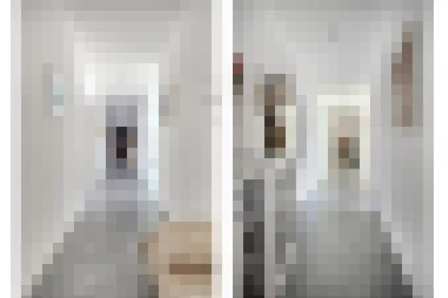 Dam 15 Goes thumbnail 11