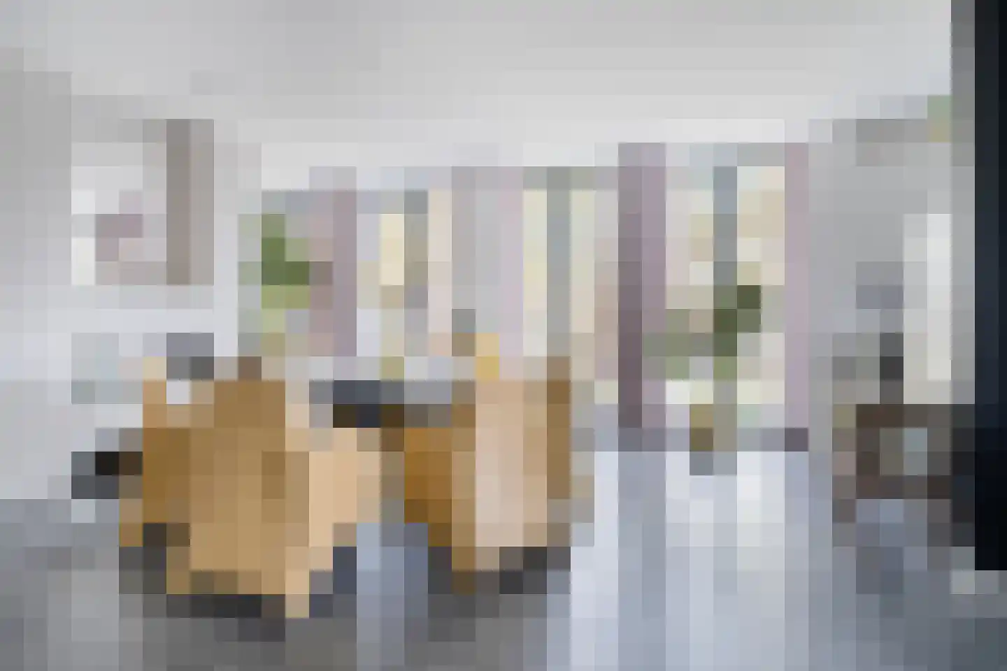 Dam 15 Goes thumbnail 13