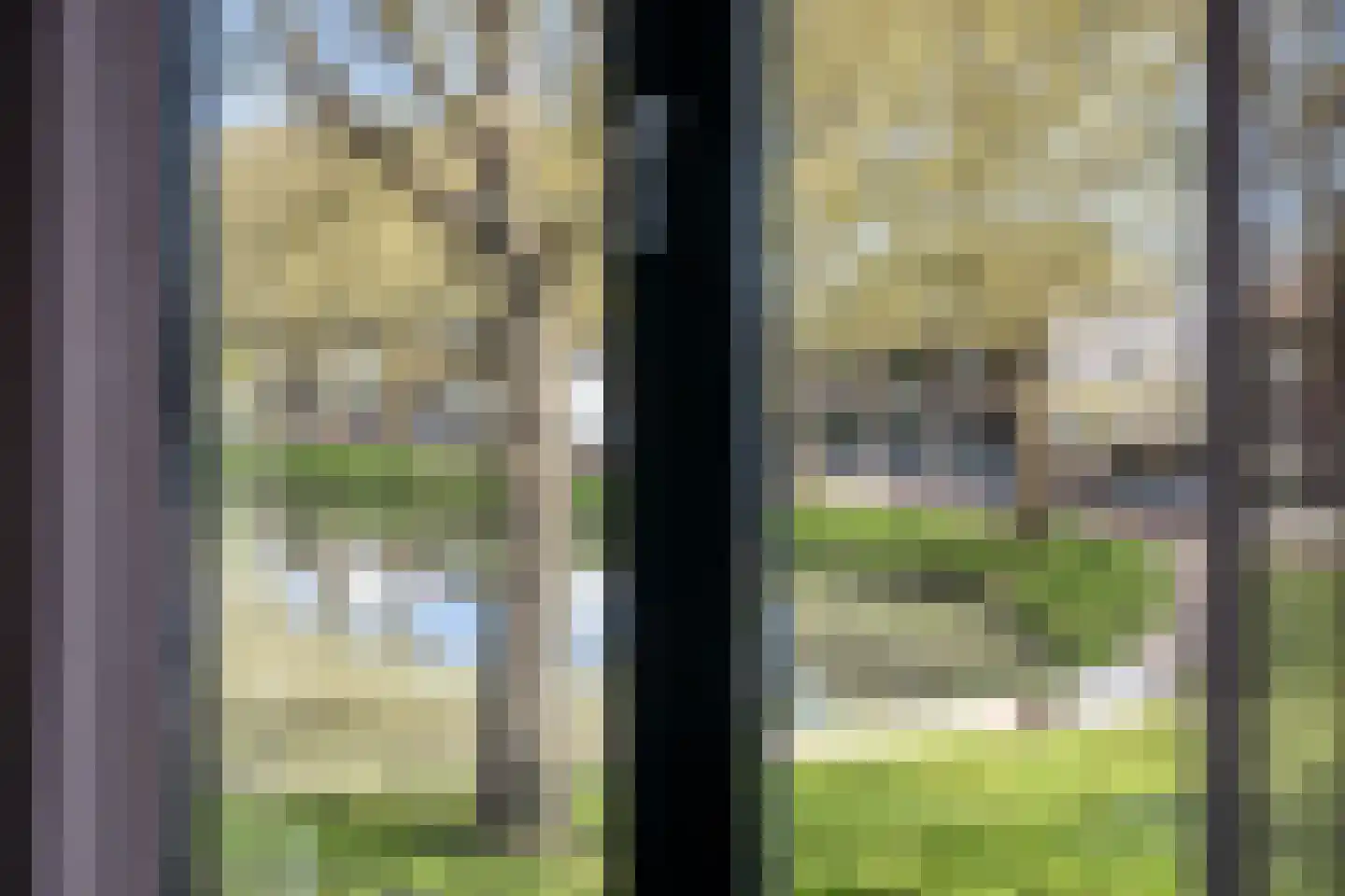 Dam 15 Goes thumbnail 22