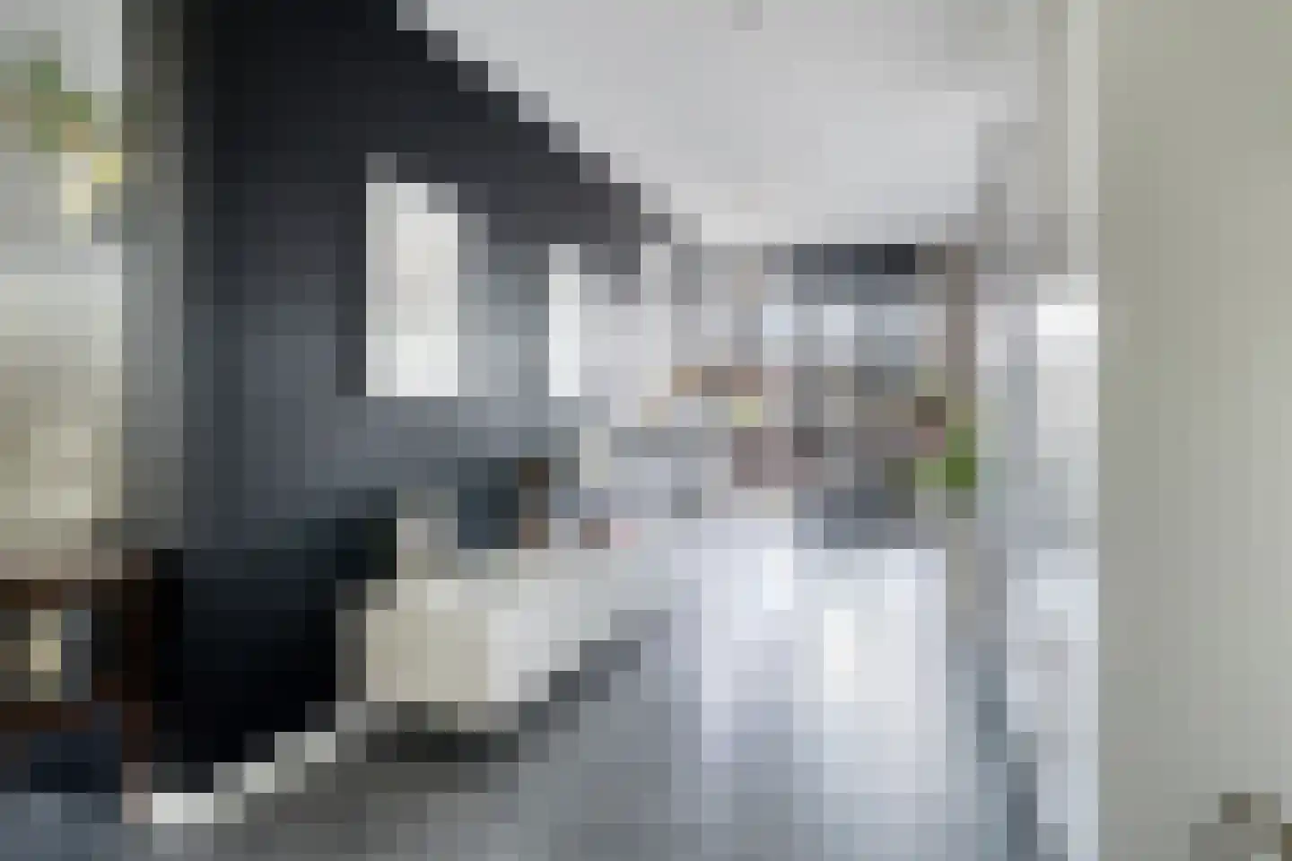 Dam 15 Goes thumbnail 23